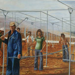 La belleza esta en el interior.- de la agricultura almeriense. Los invernaderos. thumbnail 1