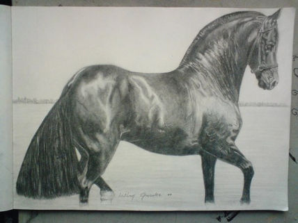Caballo