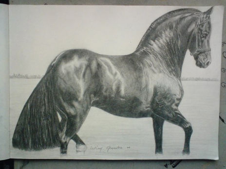 Caballo