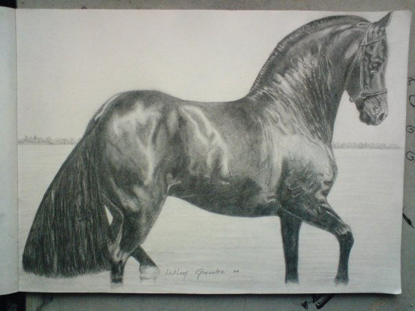 Caballo Graphite