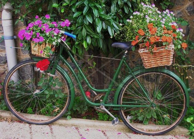 Primavera IV "La bicicleta"