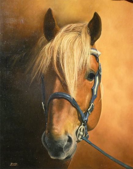 Alejo Oil Canvas Animals