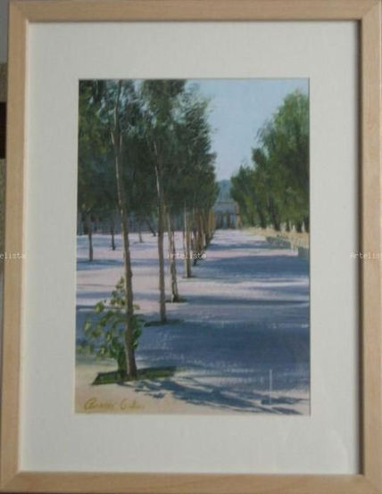 Alameda en perspectiva