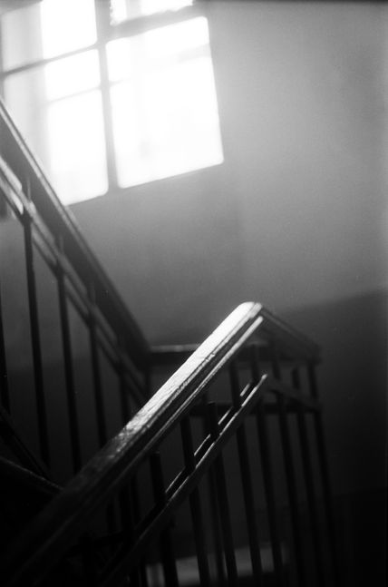 La luz mágica.