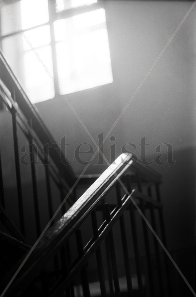La luz mágica.