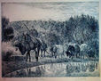 "Campo Charro, Ciudad Rodrigo"