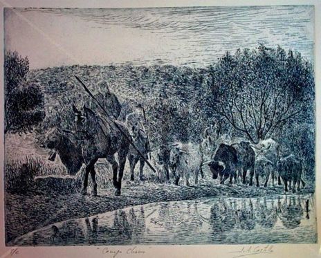 "Campo Charro,...