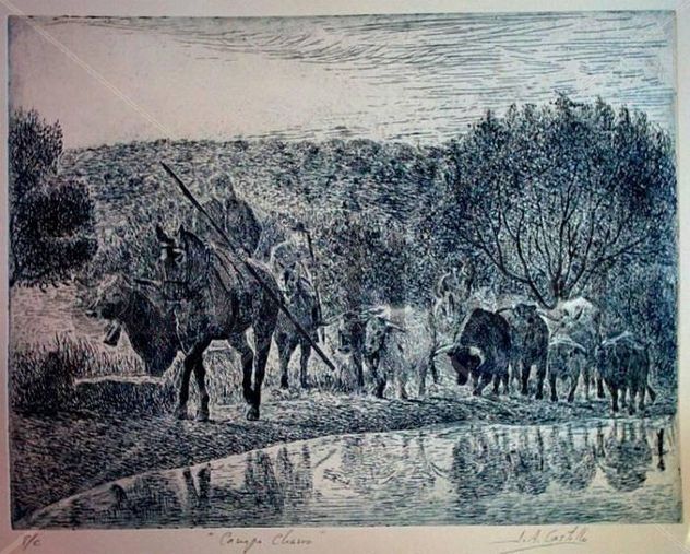 "Campo Charro, Ciudad Rodrigo"