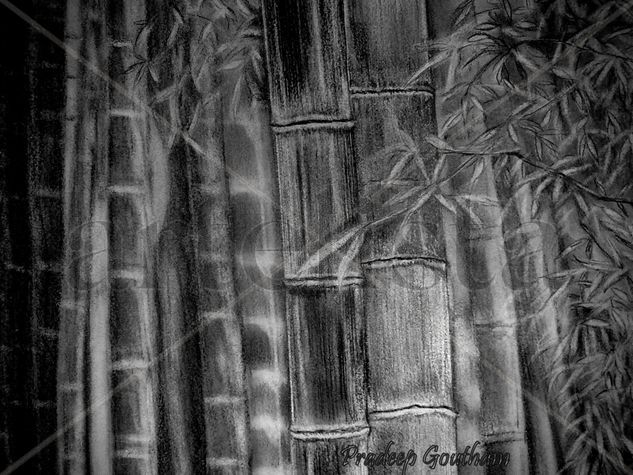 Dawn of the woods Grafito Papel Otros