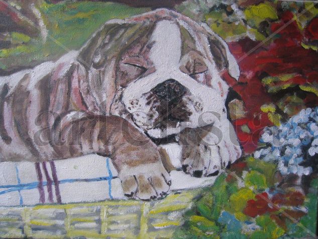 CAHORRO DURMIENDO Oil Canvas Animals