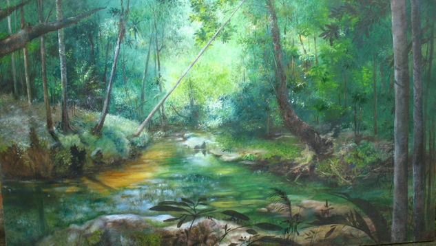 UN LUGAR DE PUTUMAYO Oil Canvas Landscaping