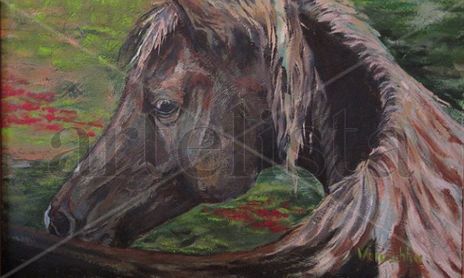 Caballos