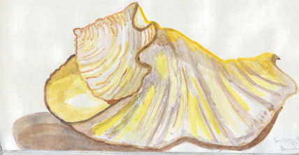 La Caracola