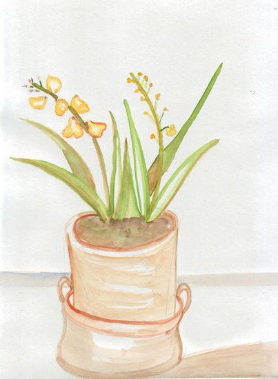 Orquideas Watercolour Paper Floral Painting