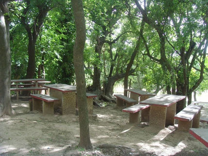 Mimetizados