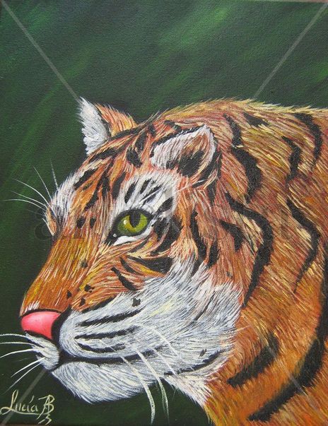 Tigre de Bengala