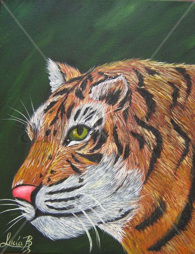 Tigre de Bengala
