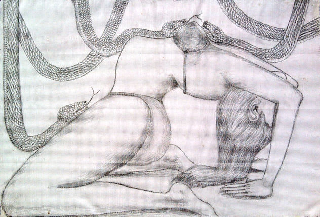 EL CUERPO, PLASTICO Y BELLO