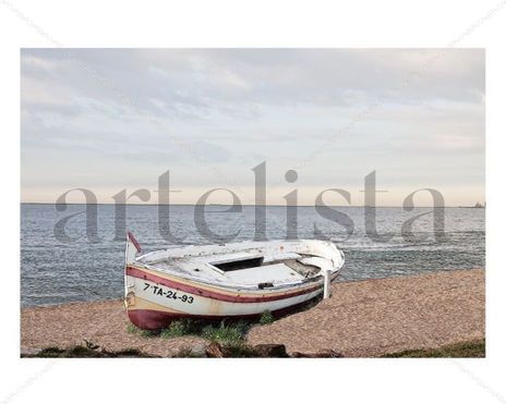 Barcas_26