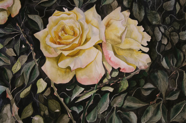 ROSAS