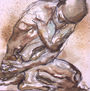 Desnudo