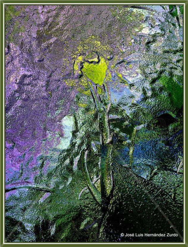 PICTORALISMO FLORA BAJO EL AGUA