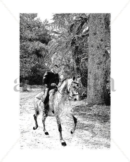 Caballos_0855