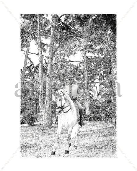 Caballos_0858