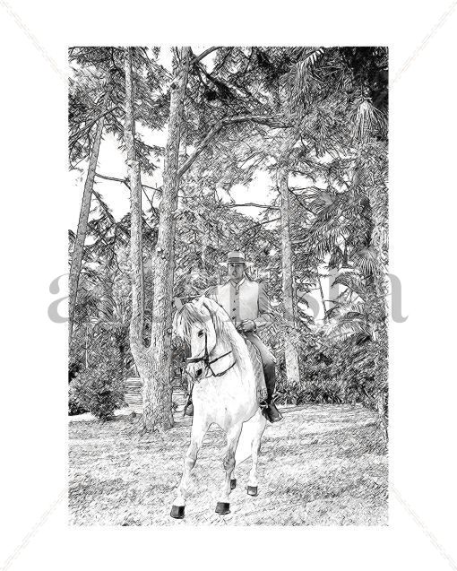 Caballos_0858