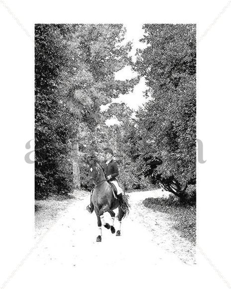 Caballos_0862