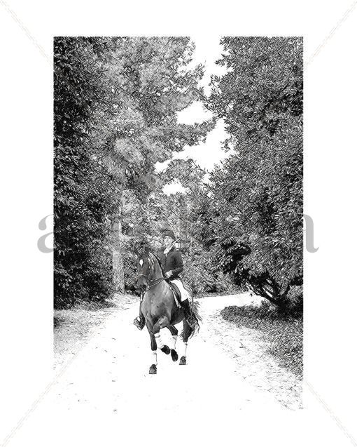 Caballos_0862