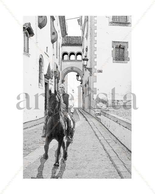 Caballos_5657