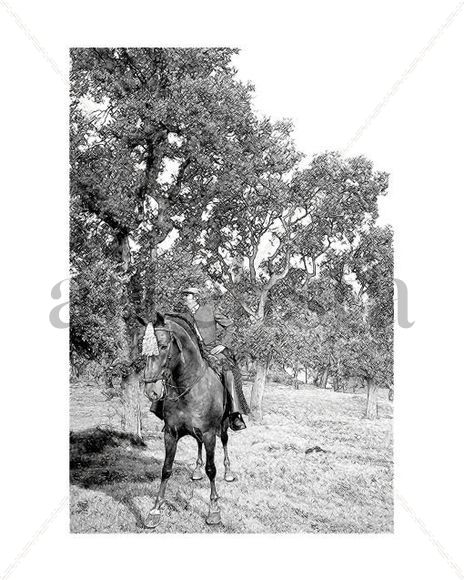 Caballos_9956