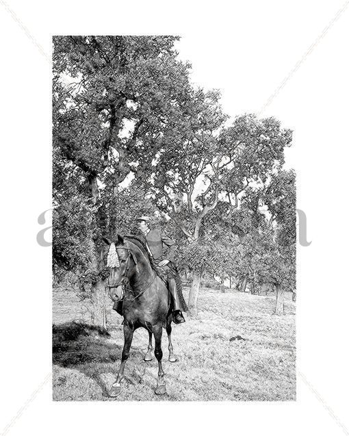 Caballos_9956