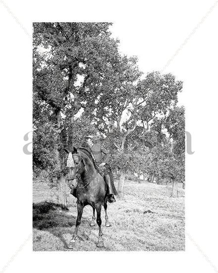 Caballos_9956 Otras temáticas Blanco y Negro (Digital)