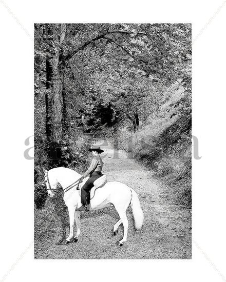 Caballos_8000 Otras temáticas Blanco y Negro (Digital)