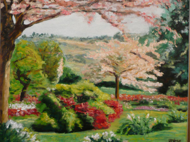 Jardín, cerezos en flor