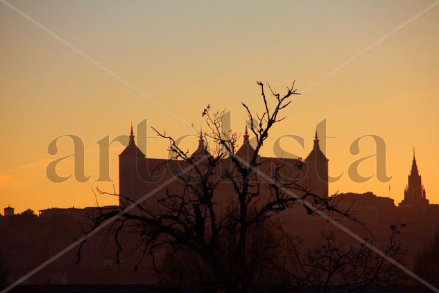 alcazar antiguo 