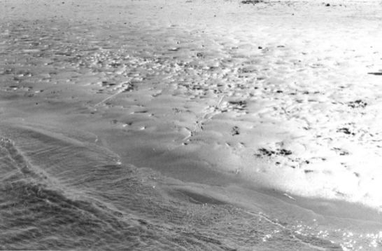 Agua Naturaleza Blanco y Negro (Química)