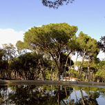 FOTOGRAFIA thumbnail 1