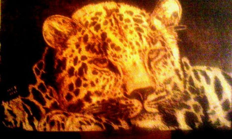 africa