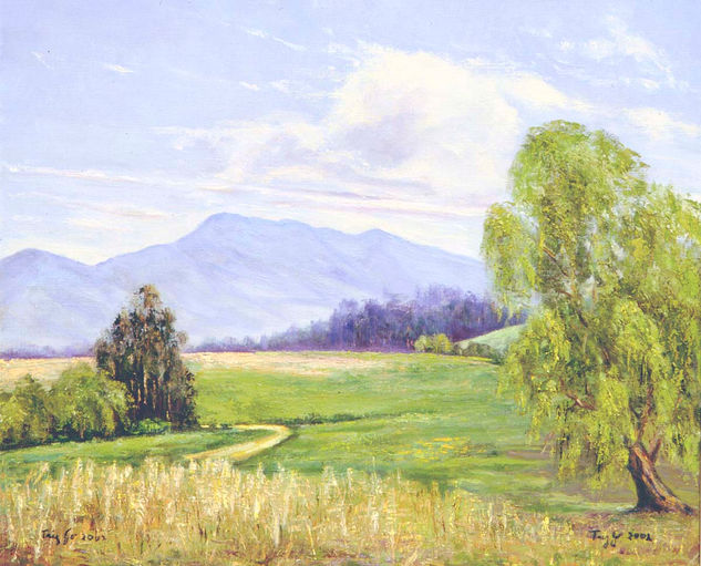 06-TABIO, Cundinamarca Oil Canvas Landscaping