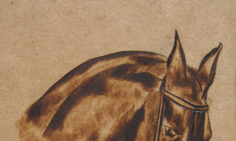 Caballos