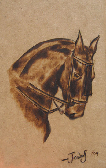 Caballo 