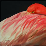 ANIMALES thumbnail 2