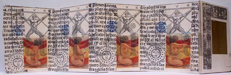 Corpus illuminatis