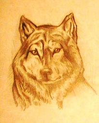 Lobo