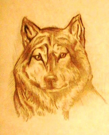 Lobo