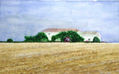 CAMPO EN VERANO