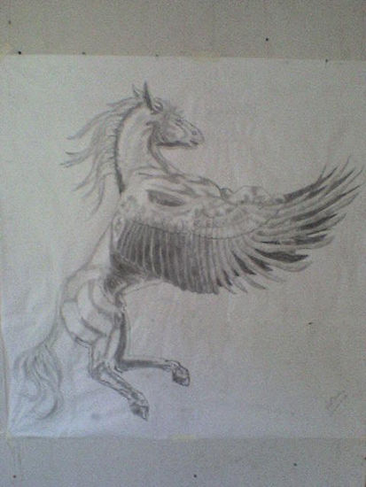 Pegasus Charcoal